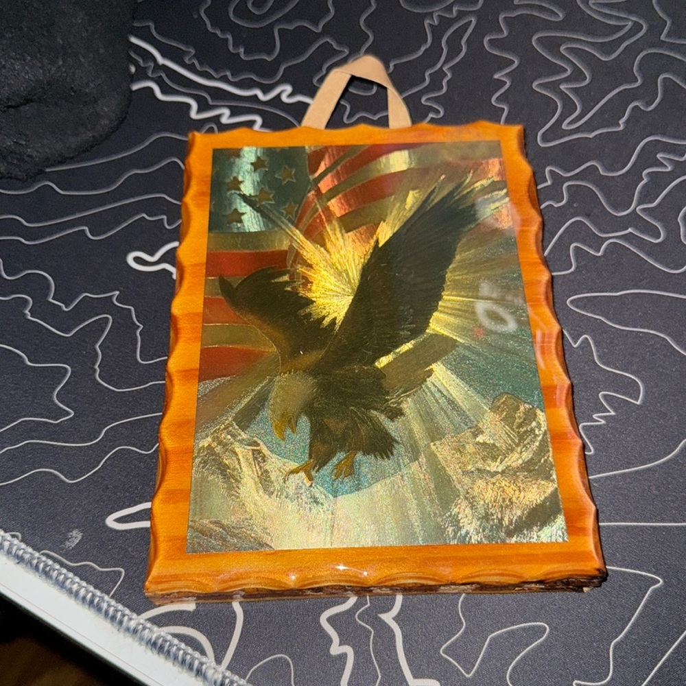 Bald Eagle / American Flag Art